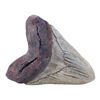 Image 1 : 1056. Megalodon Tooth ### JURASSIC WORLD DOMINION (2022)
