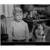 Image 4 : 1072. Timmy Martin's (Jon Provost) Framed Checkered Shirt ### LASSIE (T.V. SERIES, 1957 - 1964)