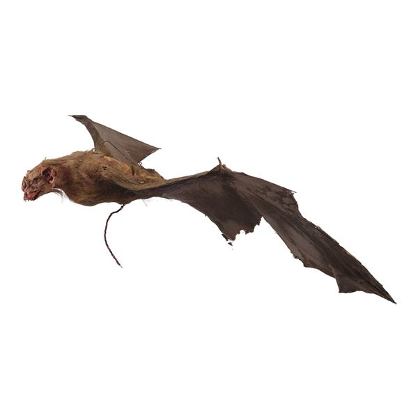 1186. Animatronic Dracula Bat Puppet ### THE MONSTER SQUAD (1987)