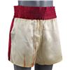 Image 2 : 1307. Clubber Lang's (Mr. T) Photo-Matched Boxing Shorts ### ROCKY III (1982)