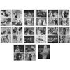 Image 1 : 1662. Collection of Photograph Negatives ### STAR WARS: A NEW HOPE (1977)