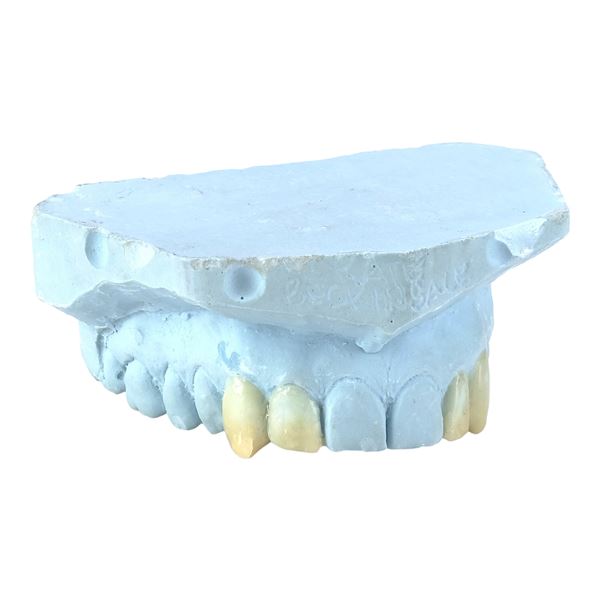 1864. Selene's (Kate Beckinsale) Fangs and Teeth Casting ### UNDERWORLD: EVOLUTION (2006)