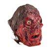 Image 1 : 1913. Acid-Burned Male Head ### THE X-FILES (T.V. SERIES, 1998)