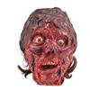 Image 2 : 1913. Acid-Burned Male Head ### THE X-FILES (T.V. SERIES, 1998)