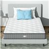 Image 1 : NEW BEDSTORY TWIN MATTRESS 6" FOAM MATTRESS