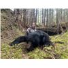 Image 1 : TROPHY WEST: 5-Day/6-Night Vancouver Island Black Bear Hunt for One Hunter in British Columbia