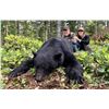 Image 2 : TROPHY WEST: 5-Day/6-Night Vancouver Island Black Bear Hunt for One Hunter in British Columbia