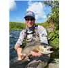 Image 1 : WILDMAN LAKE: 8-Day/7-Night Fishing Adventure for One Angler on Alaska's Remote Peninsula