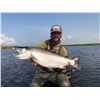 Image 2 : WILDMAN LAKE: 8-Day/7-Night Fishing Adventure for One Angler on Alaska's Remote Peninsula