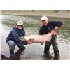 Image 3 : WILDMAN LAKE: 8-Day/7-Night Fishing Adventure for One Angler on Alaska's Remote Peninsula