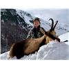 Image 2 : SAFARI OUTFITTER: 4-Day/4-Night Pyrenean Chamois Hunt for One Hunter and One Non-Hunter in Spain