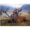 Image 2 : JOHN SCURR: 4-Day/5-Night Red Stag Hunt for Two Hunters in New Zealand - Includes Trophy Fees