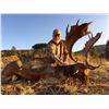 Image 1 : CAZATUR: 5-Day/4-Night Big Game Hunt for Two Hunters in Spain - Includes Trophy Fee