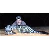 Image 3 : INFINITO: 7-Day/6-Night Small Game Safari for One Hunter in South Africa - Includes Trophy Fees