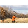Image 2 : HERITAGE 1865: 2-Day/3-Night Premium Upland Bird Hunt for Two Hunters in Iowa