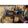 Image 5 : HERITAGE 1865: 2-Day/3-Night Premium Upland Bird Hunt for Two Hunters in Iowa