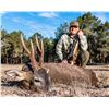 Image 1 : GREAT EUROPEAN: 5-Day Roe Deer Hunt for One Hunter and One Non-Hunter in Spain - Includes Trophy Fee