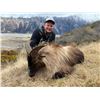 Image 1 : SOUTHERN MTN ADV: 6-Day/5-Night Tahr Hunt for Two Hunters in New Zealand - Includes Trophy Fees