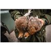 Image 2 : DELANEY & SONS: 7-Day MacNab Challenge-Grouse Hunt for One Hunter in Scotland-Includes Trophy Fees