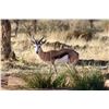 Image 2 : NAMIBIA SAFARI CORP: 10-Day Plains Game Safari for Four Hunters in Namibia - Includes Trophy Credit