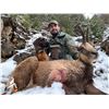Image 2 : IBERIAN HUNTING: 4-Day Big Game Hunt for Two Hunters-Two NH in Spain - Includes Trophy Fees