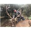 Image 3 : IBERIAN HUNTING: 4-Day Big Game Hunt for Two Hunters-Two NH in Spain - Includes Trophy Fees