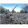 Image 1 : MADUBULA: 2-Day/3-Night Big Game Hunt for One Hunter in Palo Pinto, Texas - Includes Trophy Fees