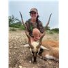 Image 2 : MADUBULA: 2-Day/3-Night Big Game Hunt for One Hunter in Palo Pinto, Texas - Includes Trophy Fees