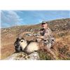 Image 1 : CELTIC FIELD: 4-Day Big Game Hunt for One Hunter-One Non-Hunter in Ireland - Includes Trophy Fees