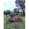Image 2 : CELTIC FIELD: 4-Day Big Game Hunt for One Hunter-One Non-Hunter in Ireland - Includes Trophy Fees