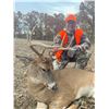 Image 1 : SAFARI UNLTD: 8-Day Whitetail and Pheasant Hunt for Two Hunters in Missouri - Includes Trophy Fees