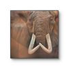 Image 1 : SANNETTE BOSHOFF: "DIDA" - Original Mixed Media Painting on Canvas by Sannette Boshoff