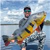 Image 1 : RIVER PLATE: 4 1/2-Day Peacock Bass Fishing Trip for Two Anglers in Manaus, Brazil