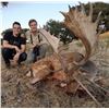 Image 1 : ESPACAZA: 4-Day Big Game Hunt for Two Hunters in Spain - Includes Trophy Fees