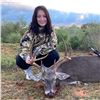 Image 1 : ODIN OUTFITTING: 3-Day/2-Night Whitetail Deer Hunt for One Hunter-One NH inTexas - Includes Trophy F