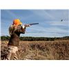 Image 1 : JOSHUA CREEK: 3-Day/2-Night Upland Bird Hunt for Four Hunters in the Texas Hill Country