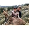Image 1 : CAZATUR: 5-Day/4-Night Roe Deer Hunt for One Hunter-NH in Spain - Includes Trophy Fee