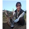 Image 1 : TROPHY TRAILS: 7-Day/6-Night Big Game Hunt for One Hunter-One NH in Spain - Includes Trophy Fees