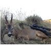 Image 3 : TROPHY TRAILS: 7-Day/6-Night Big Game Hunt for One Hunter-One NH in Spain - Includes Trophy Fees