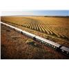 Image 5 : ROVOS RAIL: 3-Day/4-Night Journey Across Africa for Two Aboard Rovos Rail