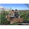 Image 1 : PINEAPPLE BROTHERS: 2-Day Axis Deer Hunt for One Hunter in Hawaii - Includes Trophy Fee