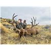 Image 1 : ALGAR SAFARIS: 5-Day/6-Night Red Stag Hunt for One Hunter-One NH in Argentina - Includes Trophy Fee