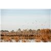 Image 3 : BROOMSEDGE: 3-Day/2-Night Quail, Duck and Pheasant Hunt for Four Hunters in Georgia