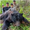 Image 1 : CANADIAN GUIDE: 5-Day Black Bear Hunt for One Hunter-One NH in Canada- Includes Trophy