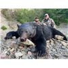 Image 2 : CANADIAN GUIDE: 5-Day Black Bear Hunt for One Hunter-One NH in Canada- Includes Trophy