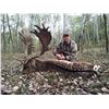 Image 1 : WILD INSTINCT: 3-Day/4-Night Fallow Deer Hunt for One Hunter-One NH in Hungary-Includes Trophy Fee