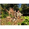 Image 2 : WILD INSTINCT: 3-Day/4-Night Fallow Deer Hunt for One Hunter-One NH in Hungary-Includes Trophy Fee