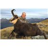 Image 1 : GARY HERBERT: 5-Day/4-Night  Chamois Hunt for One Hunter-One NH in  New Zealand - Includes Trophy Fe
