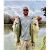 Image 1 : LOCHOW RANCH: 4,000 Pure Florida Strain Largemouth Bass Fingerlings
