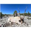 Image 1 : OX RANCH: 3-Day/2-Night Exotic Species Hunt for One Hunter-One NH in Texas - Includes Trophy Credit